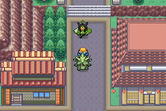 Player in an expanded Johto town with new buildings and layout