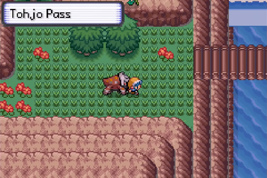 Tohjo Pass in Pokemon SoulGold